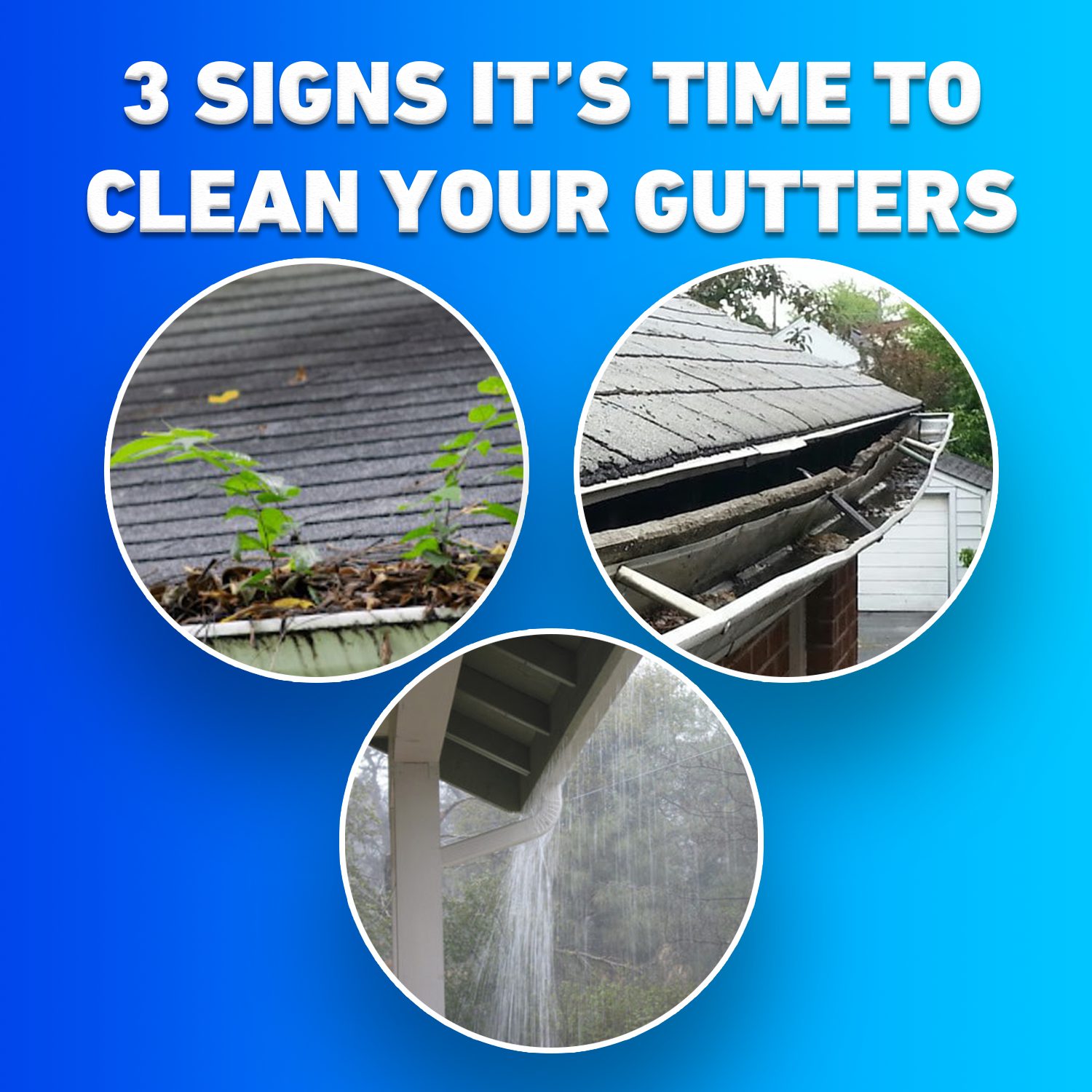 Ricky's Gutters social post, 3 signs it's time to clean your gutters